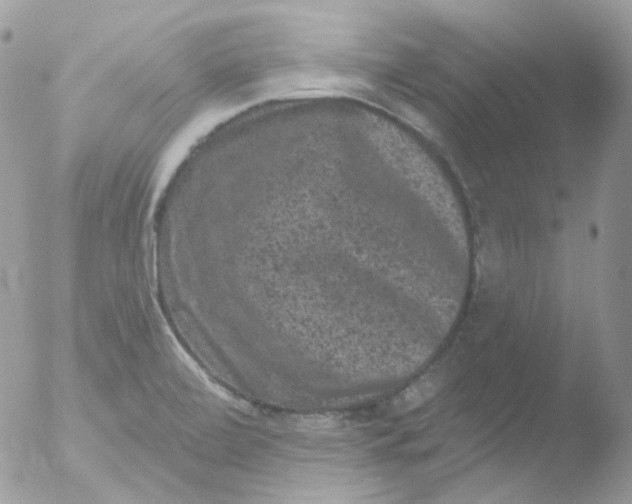 X0000051891472200507151926