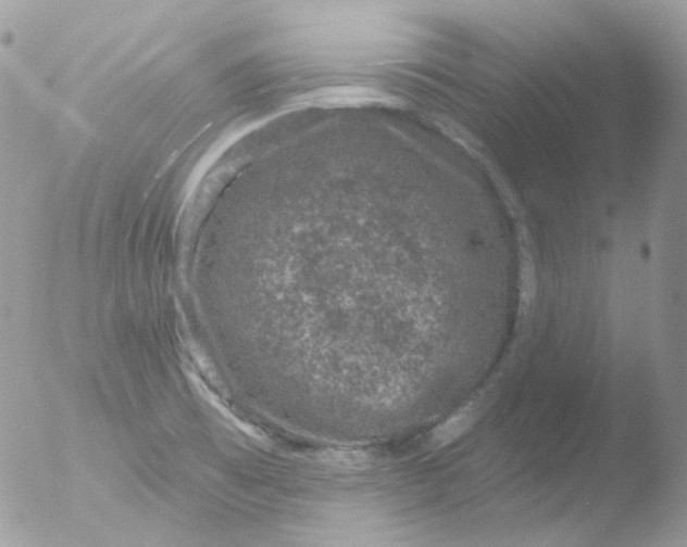 X0000051891473200507151926