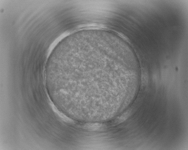 X0000051891474200507151926