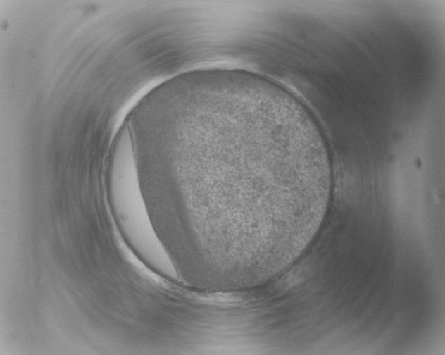 X0000051891476200507151926