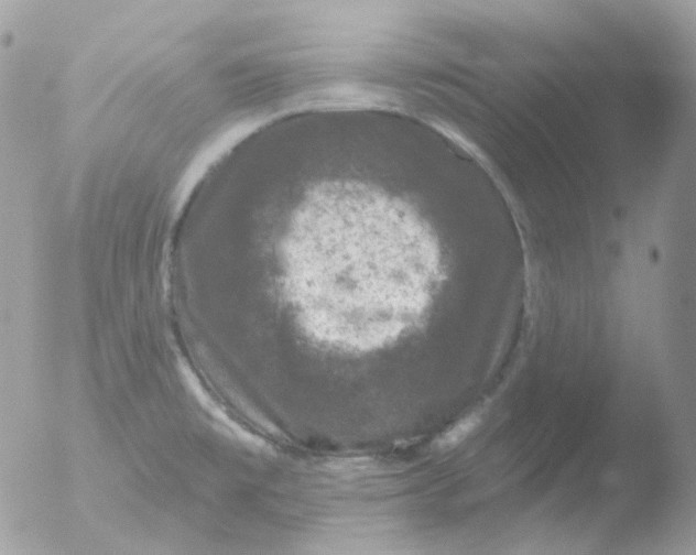 X0000051891477200507151926