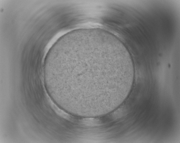 X0000051891478200507151926