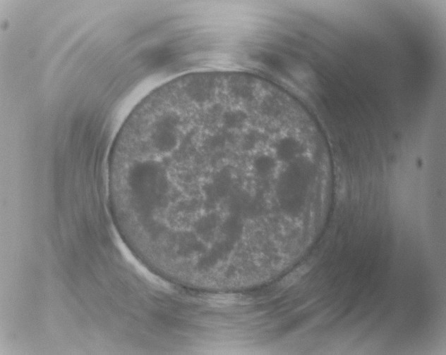 X0000051891479200507151925