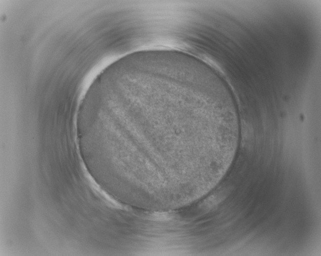 X0000051891480200507151925