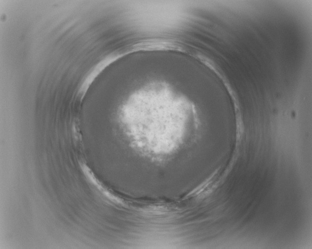 X0000051891481200507151925