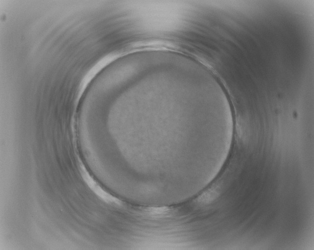 X0000051891482200507151925