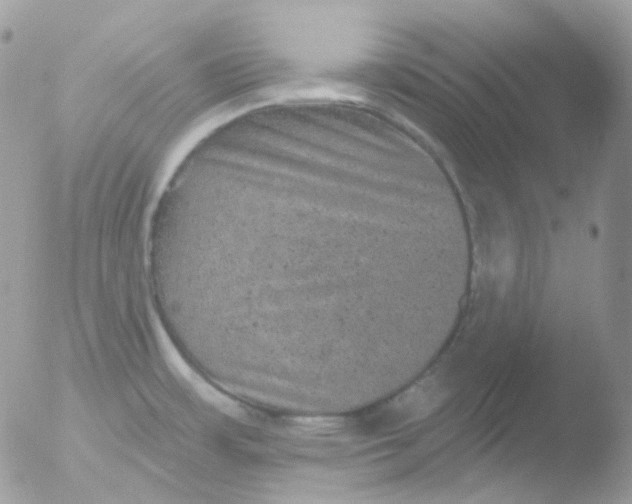 X0000051891483200507151925