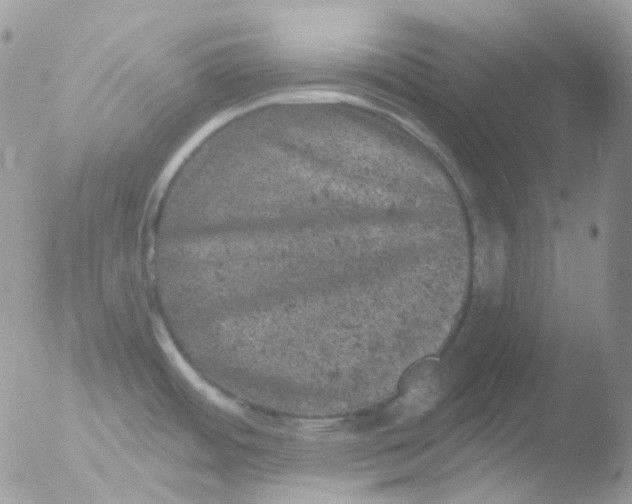 X0000051891484200507151925