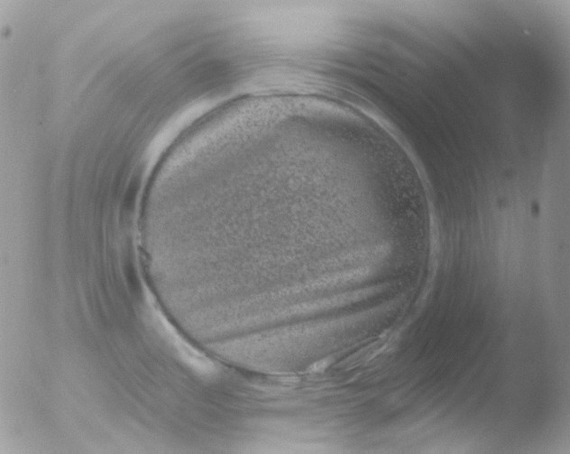 X0000051891485200507151925