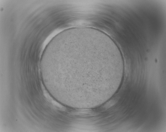 X0000051891486200507151925