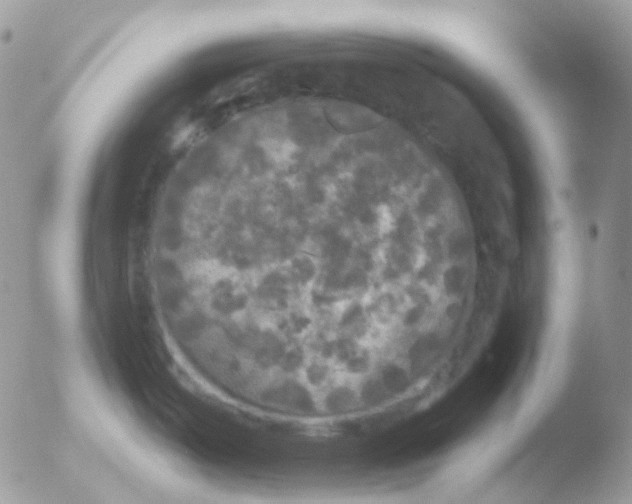 X0000051891487200507151925