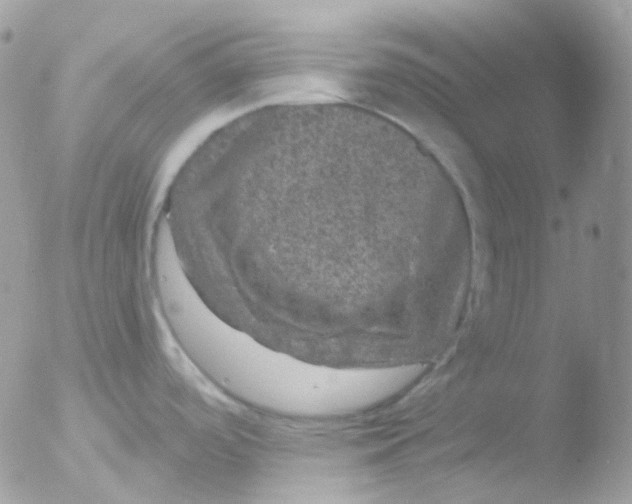 X0000051891488200507151925