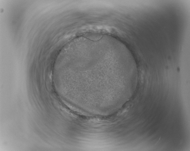 X0000051891489200507151925