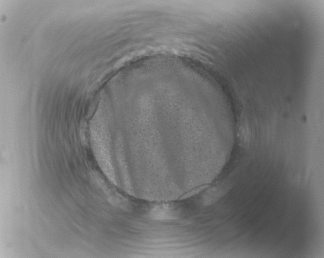 X0000051891490200507151925