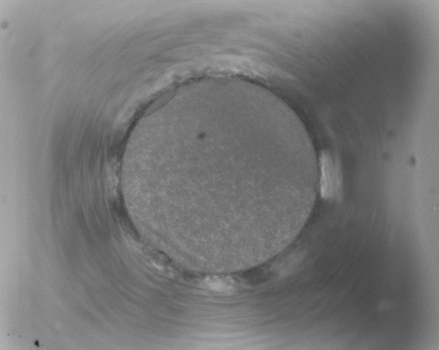 X0000051891491200507151925