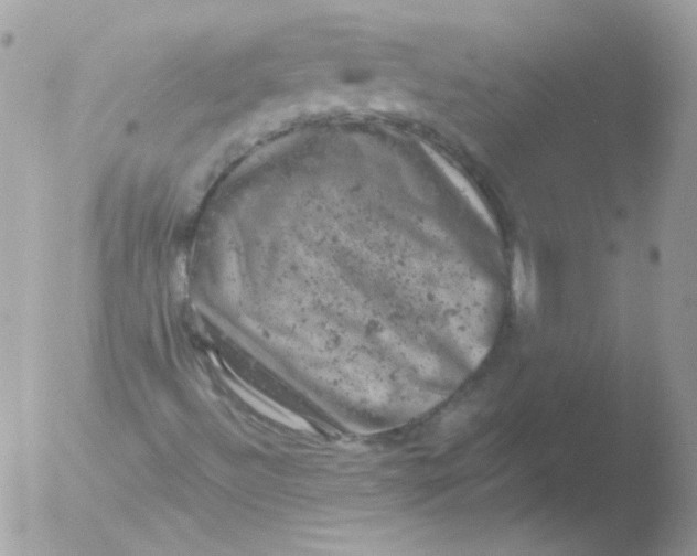 X0000051891492200507151925