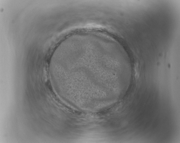 X0000051891493200507151925