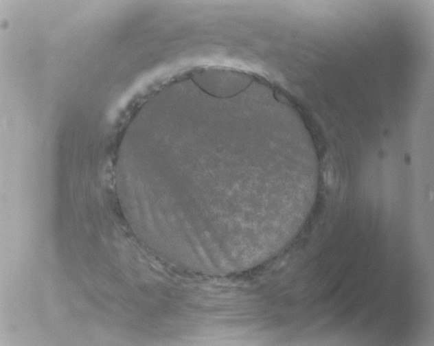 X0000051891495200507151925