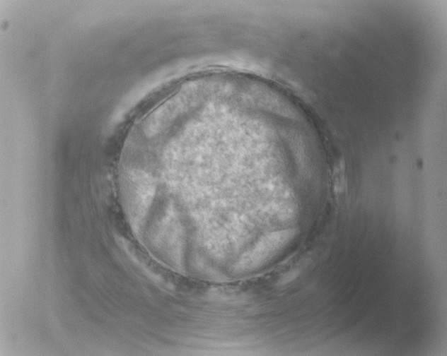 X0000051891496200507151925