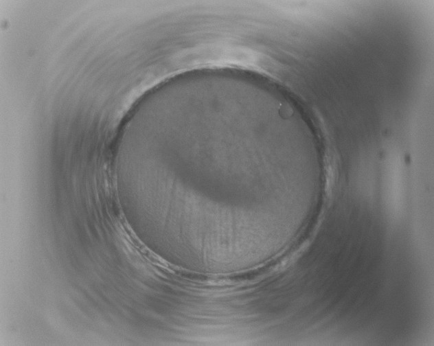 X0000051891497200507151925