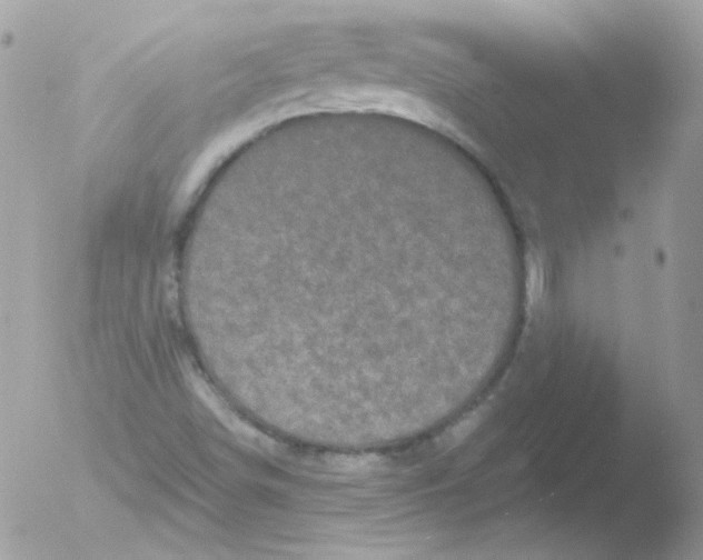 X0000051891498200507151925