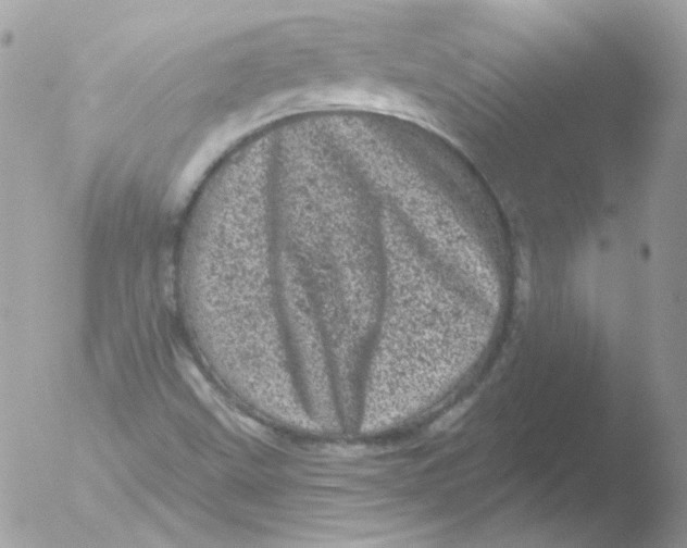 X0000051891499200507151925