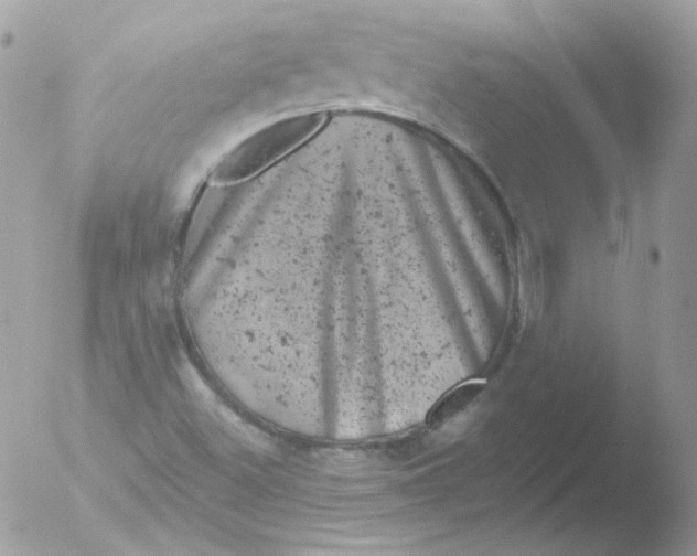 X0000051891500200507151925