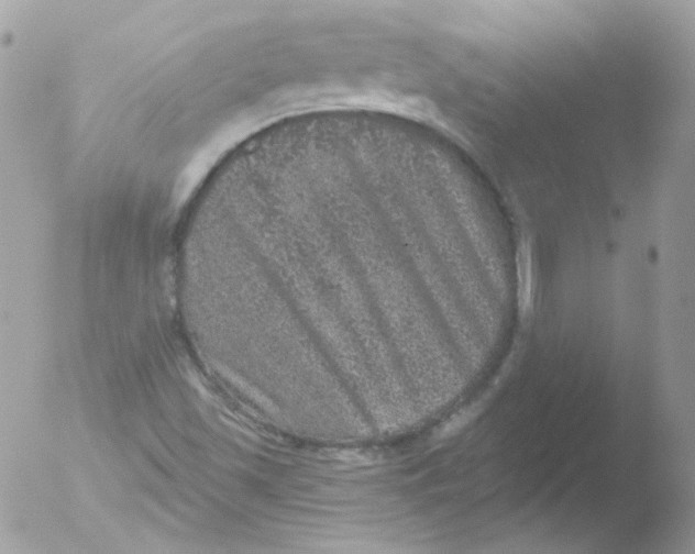 X0000051891501200507151925