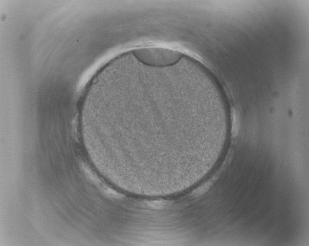 X0000051891502200507151925