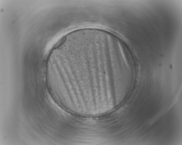 X0000051891504200507151925