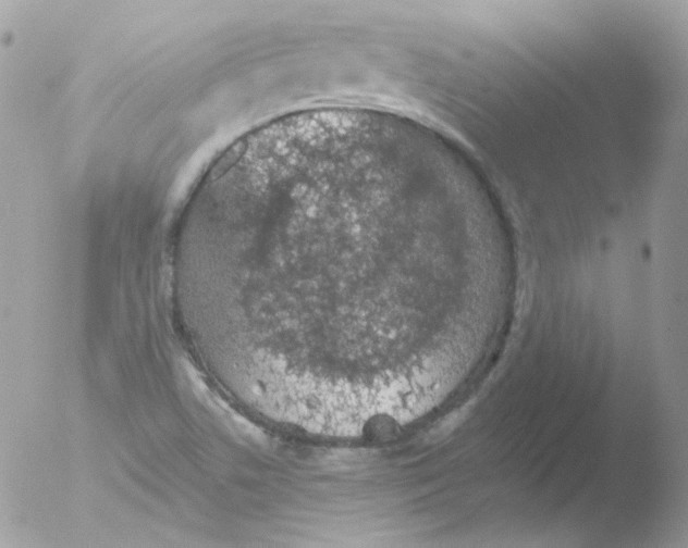 X0000051891506200507151925