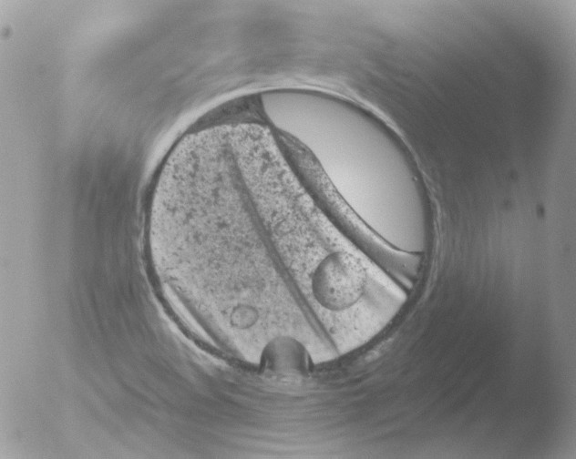 X0000051891508200507151925