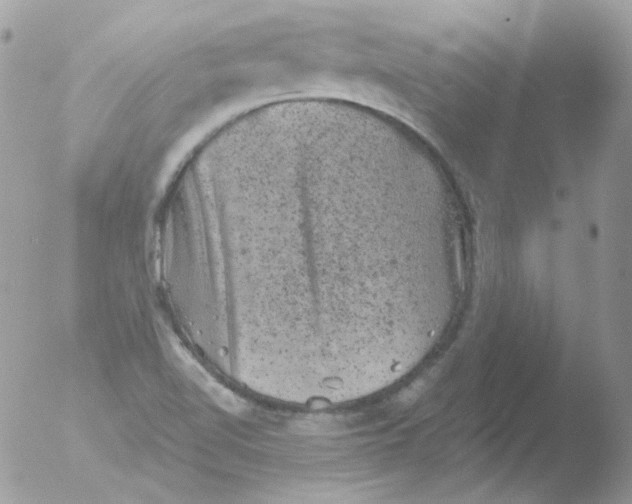 X0000051891510200507151925