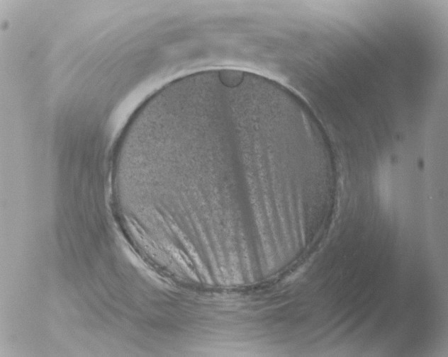 X0000051891511200507151925