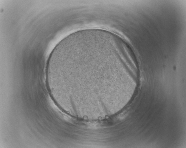 X0000051891512200507151925