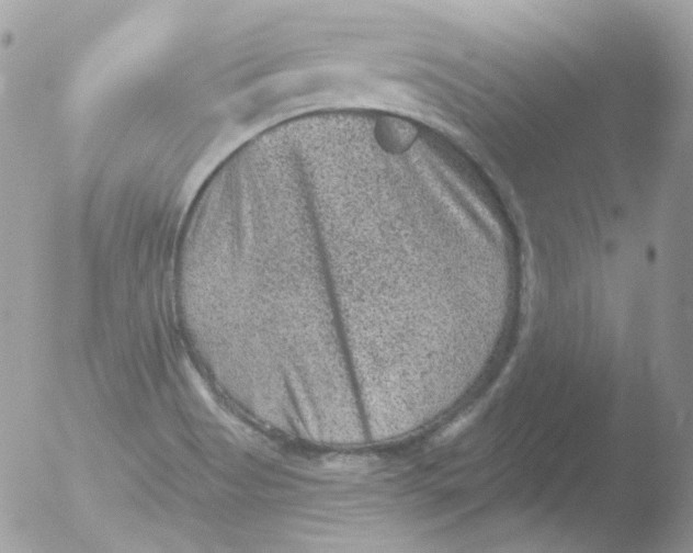 X0000051891513200507151925