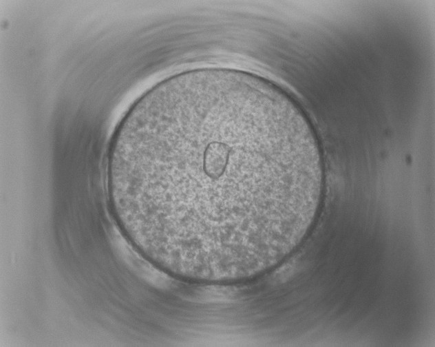 X0000051891514200507151925