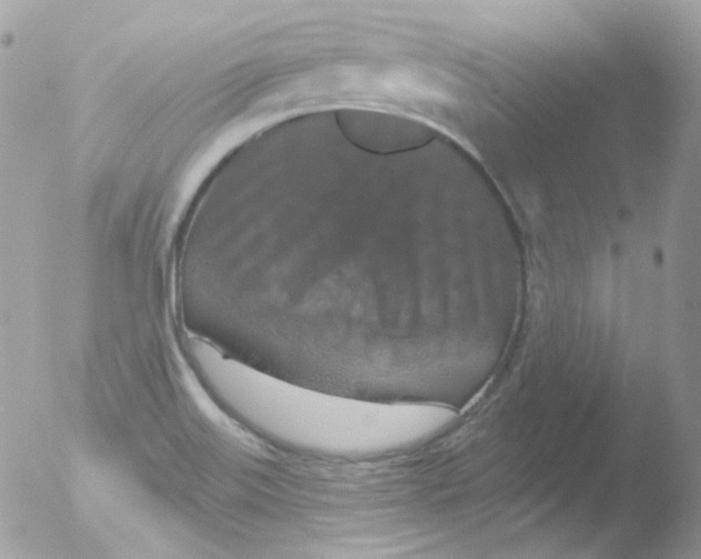 X0000051891515200507151925