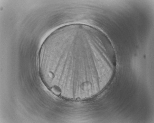 X0000051891516200507151925