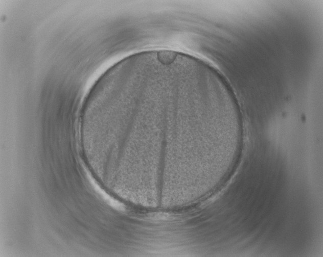 X0000051891517200507151925