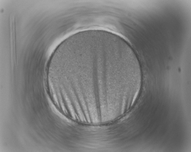 X0000051891518200507151925