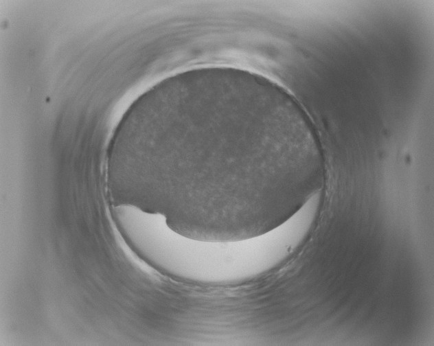 X0000051891519200507151925