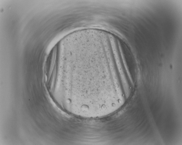 X0000051891520200507151925