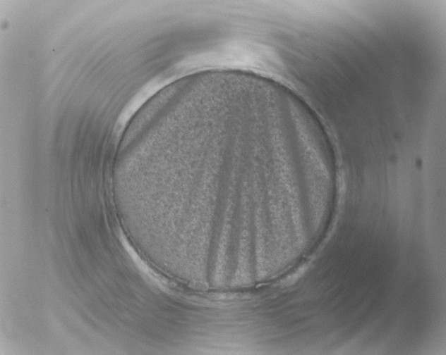 X0000051891521200507151925