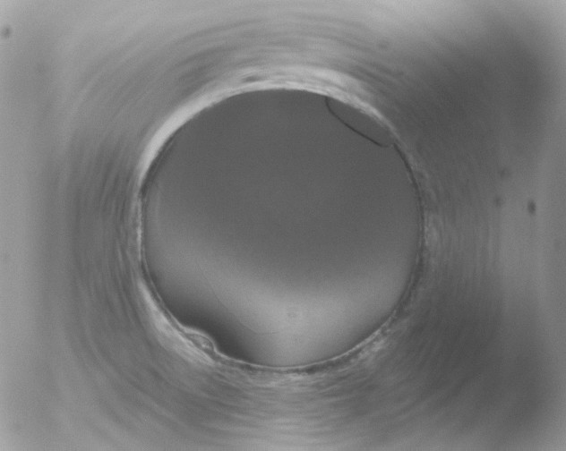 X0000051891522200507151925