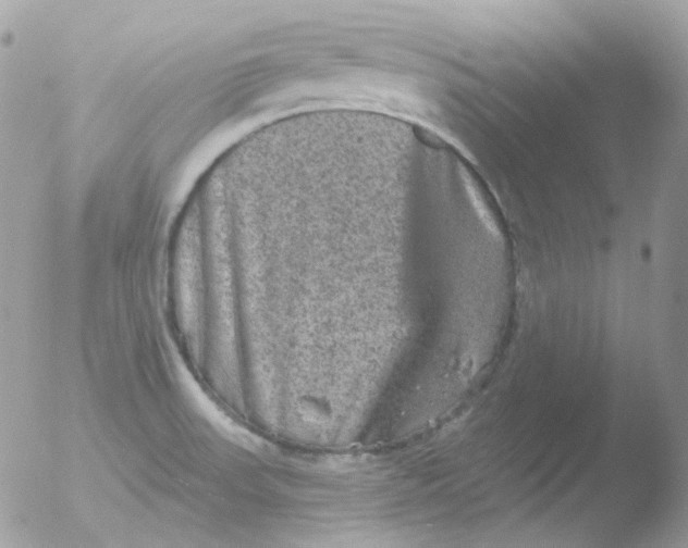 X0000051891523200507151925