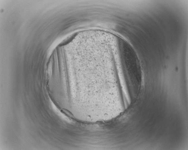 X0000051891524200507151925