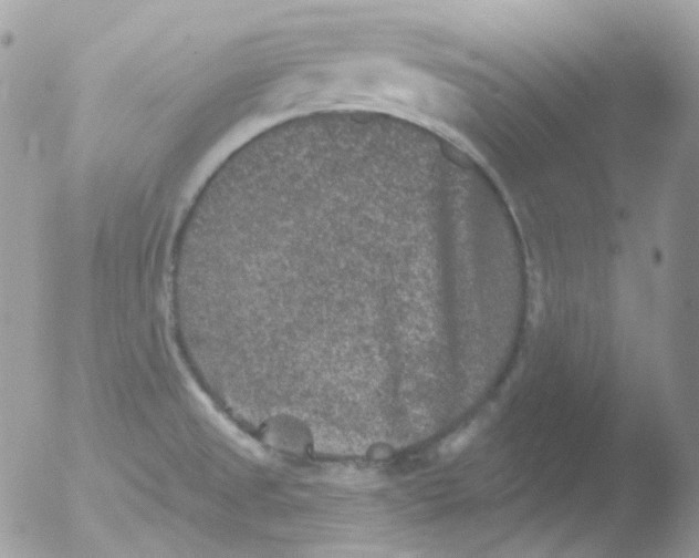 X0000051891525200507151925