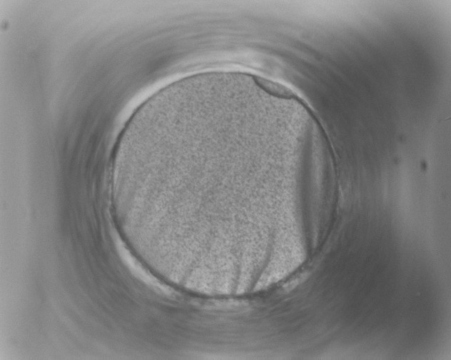 X0000051891526200507151925