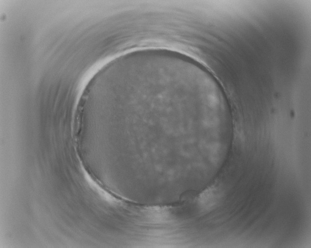 X0000051891527200507151925